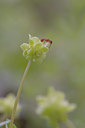 BUITEN BEELD Foto: 28255