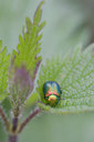 BUITEN BEELD Foto: 28261