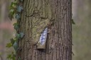BUITEN BEELD Foto: 28275