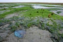 BUITEN BEELD Foto: 28333