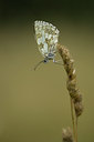 BUITEN BEELD Foto: 28375