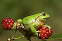 BUITEN BEELD Foto: 28379