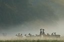 BUITEN BEELD Foto: 28394