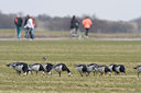 BUITEN BEELD Foto: 28404