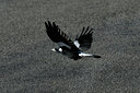 BUITEN BEELD Foto: 28424