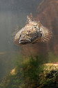 BUITEN BEELD Foto: 28426
