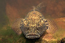 BUITEN BEELD Foto: 28427