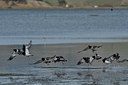 BUITEN BEELD Foto: 28437