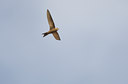BUITEN BEELD Foto: 28474