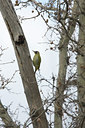 BUITEN BEELD Foto: 28519