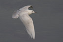 BUITEN BEELD Foto: 28539