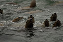 BUITEN BEELD Foto: 28572