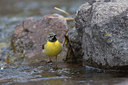 BUITEN BEELD Foto: 28645
