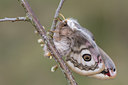 BUITEN BEELD Foto: 28661