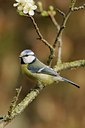 BUITEN BEELD Foto: 28683
