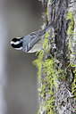 BUITEN BEELD Foto: 28749