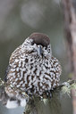 BUITEN BEELD Foto: 28750
