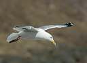 BUITEN BEELD Foto: 28881