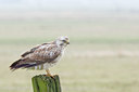 BUITEN BEELD Foto: 28916
