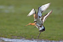 BUITEN BEELD Foto: 28926