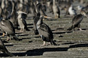 BUITEN BEELD Foto: 28942