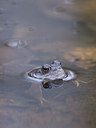 BUITEN BEELD Foto: 28967