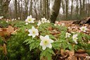 BUITEN BEELD Foto: 28983