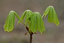 BUITEN BEELD Foto: 28995