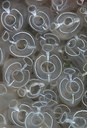 BUITEN BEELD Foto: 289130
