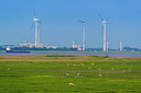BUITEN BEELD Foto: 289139