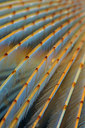 BUITEN BEELD Foto: 289182