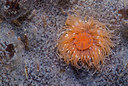 BUITEN BEELD Foto: 289240