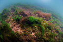 BUITEN BEELD Foto: 289380