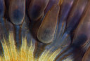 BUITEN BEELD Foto: 289414