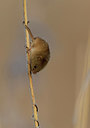 BUITEN BEELD Foto: 289502