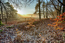 BUITEN BEELD Foto: 289555
