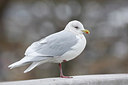 BUITEN BEELD Foto: 289580