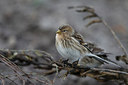 BUITEN BEELD Foto: 289597