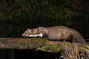 BUITEN BEELD Foto: 289598