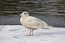 BUITEN BEELD Foto: 289608