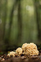 BUITEN BEELD Foto: 289613