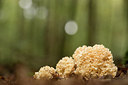 BUITEN BEELD Foto: 289615