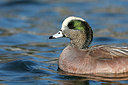 BUITEN BEELD Foto: 289628