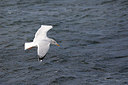 BUITEN BEELD Foto: 289630