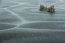 BUITEN BEELD Foto: 289690
