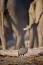 BUITEN BEELD Foto: 289710