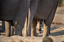 BUITEN BEELD Foto: 289711