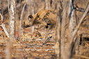 BUITEN BEELD Foto: 289724