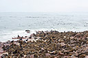 BUITEN BEELD Foto: 289742