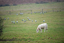 BUITEN BEELD Foto: 289836